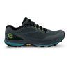 Grey / Blue