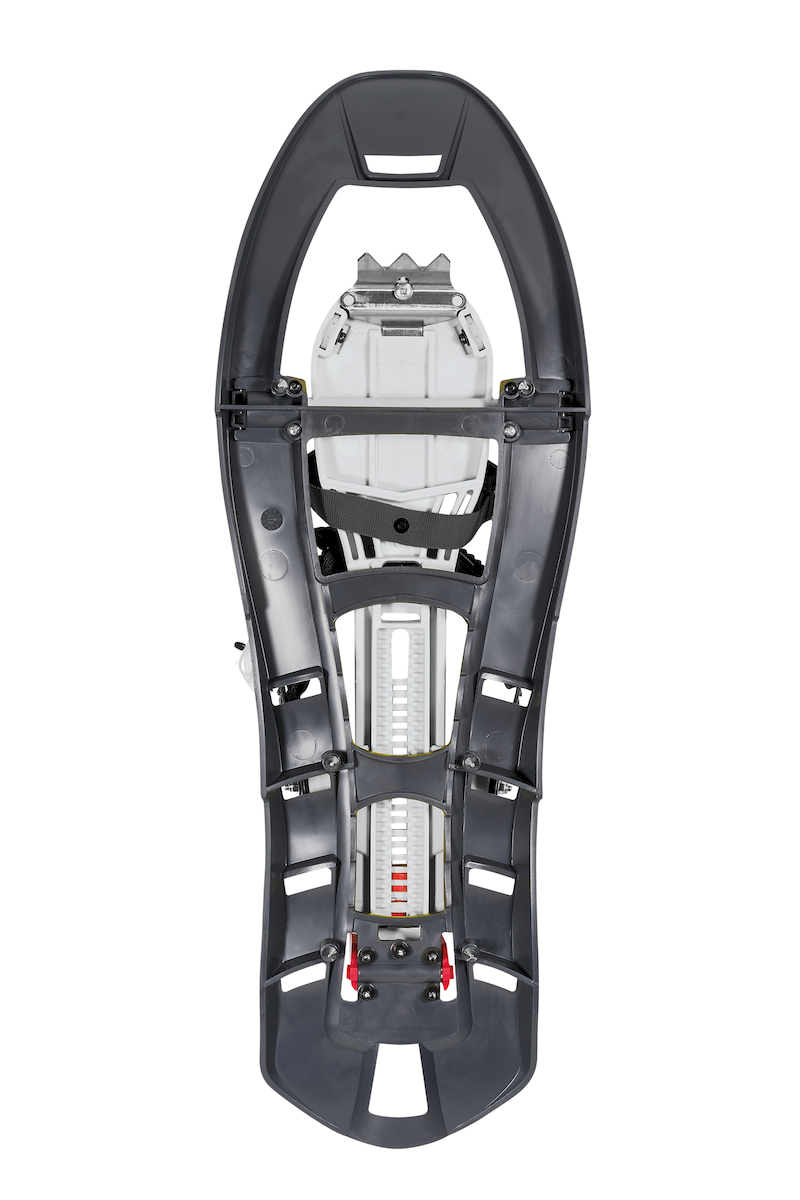 Ferrino Pinter Castor Special - Snowshoes