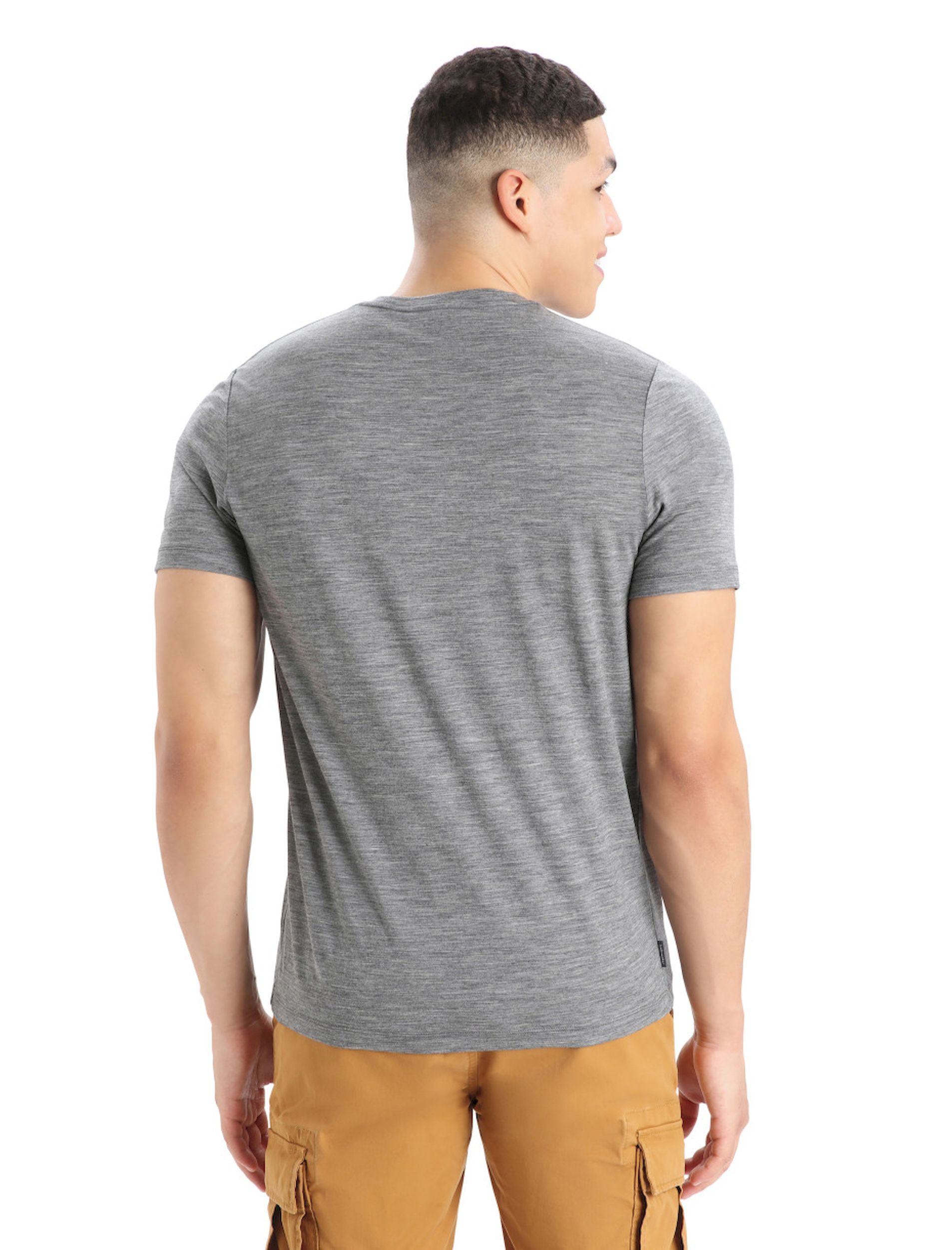 Icebreaker Tech Lite II SS Tee Mountain Geology - Maglietta lana merinos - Uomo