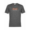 Icebreaker Tech Lite II SS Tee Mountain Geology - Maglietta lana merinos - Uomo