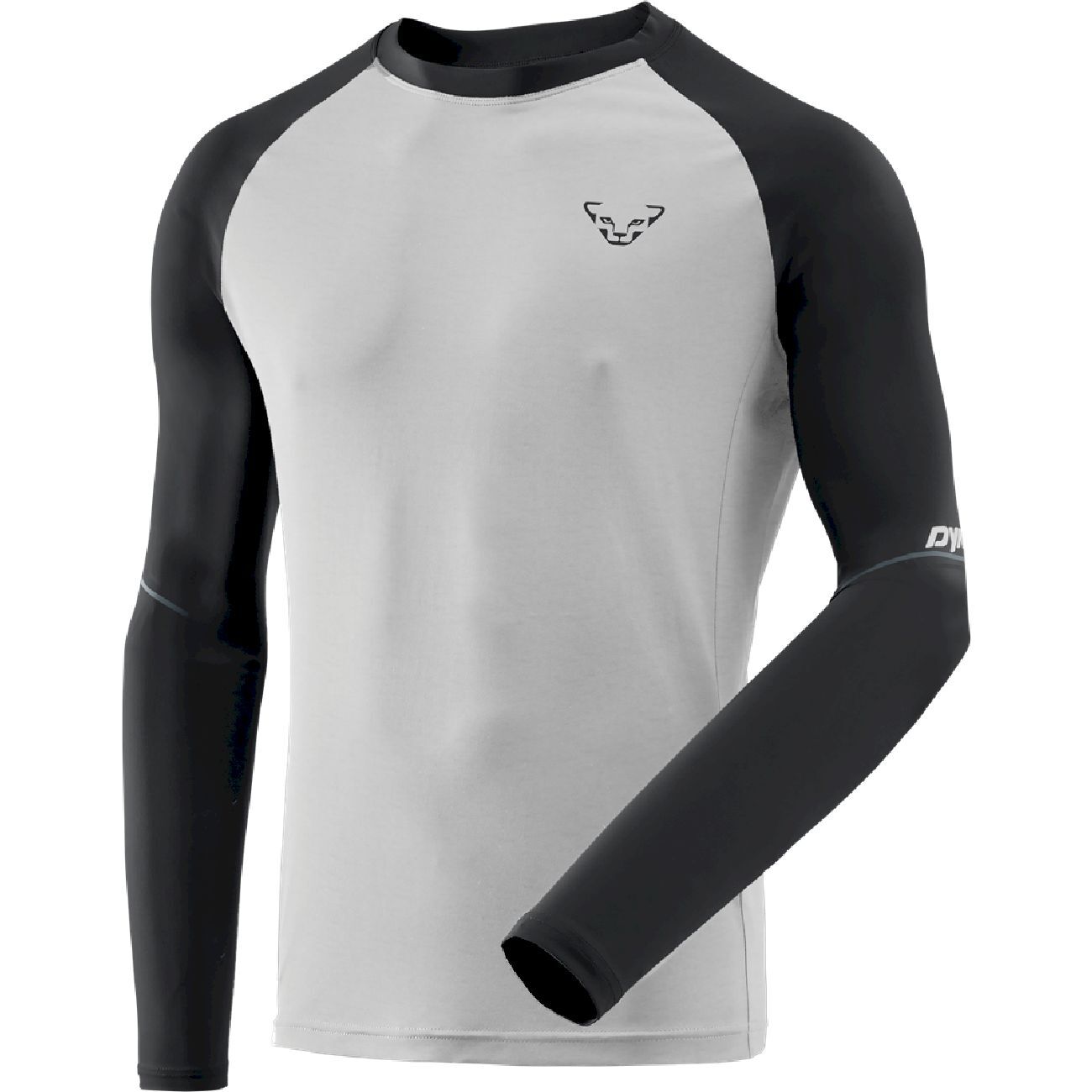 Dynafit Alpine Pro L/S Tee - T-shirt homme | Hardloop