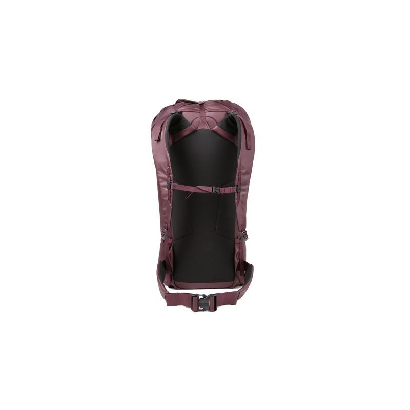 Blue Ice Warthog 30 - Mochila alpinismo