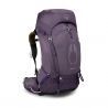 Enchantment Purple