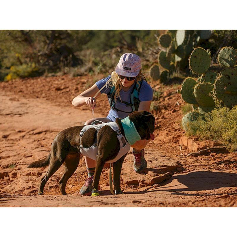 Swamp Cooler Dog harness