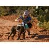 Ruffwear Swamp Cooler - Arnês para cachorro | Hardloop