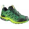 Rainforest / Lime Green / Fern Green