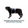 Ruffwear Web Master - Arnês para cachorro | Hardloop