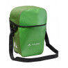 Parrot Green