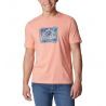 Coral Reef / Scenic Script Graphic