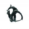 Raidlight Harnais I-Dog - Dog harness | Hardloop