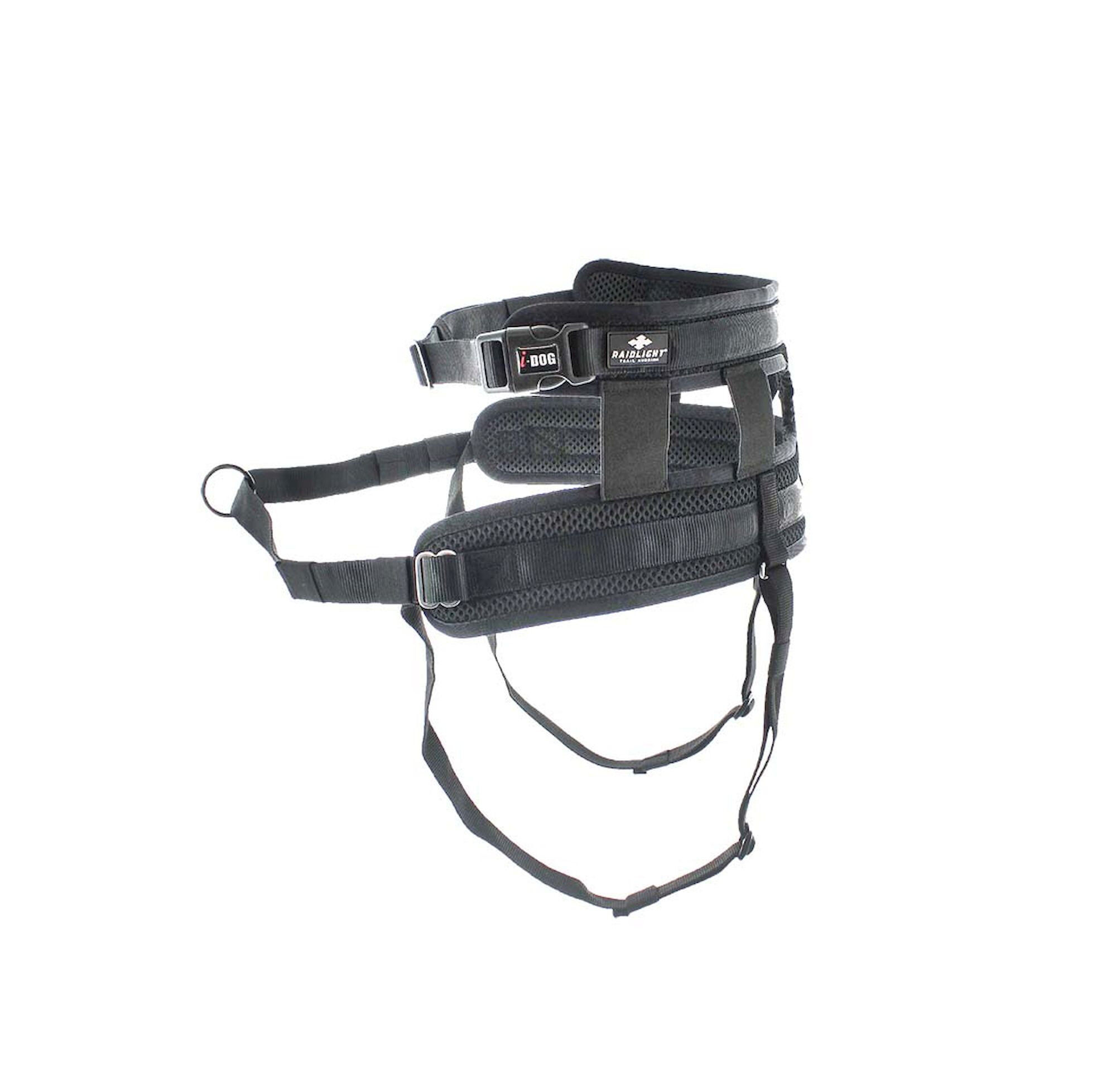 Raidlight Baudrier I-Dog - Akcesoria dla psa | Hardloop