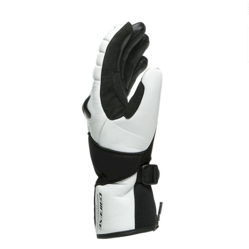 Dainese HP Ergotek - Skihandschuhe - Herren | Hardloop