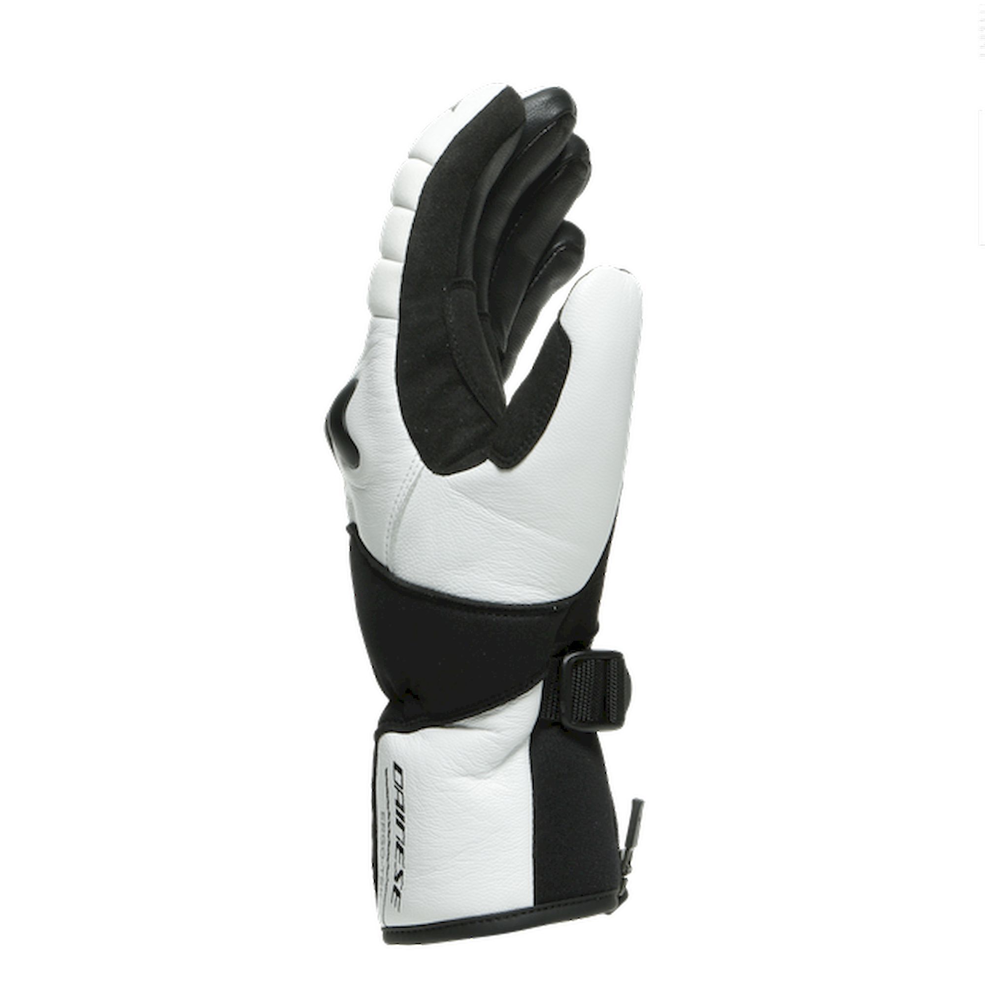 Dainese HP Ergotek - Rękawice narciarskie meskie | Hardloop