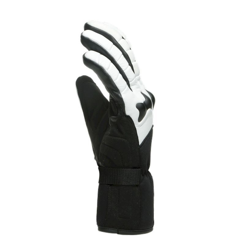 Dainese HP Ergotek - Ski gloves - Men's | Hardloop