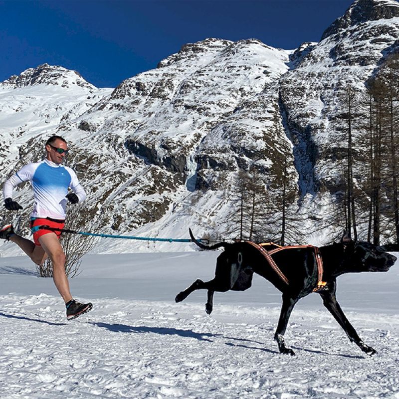 I-Dog X-Back One 2.0 - Hundeseler | Hardloop