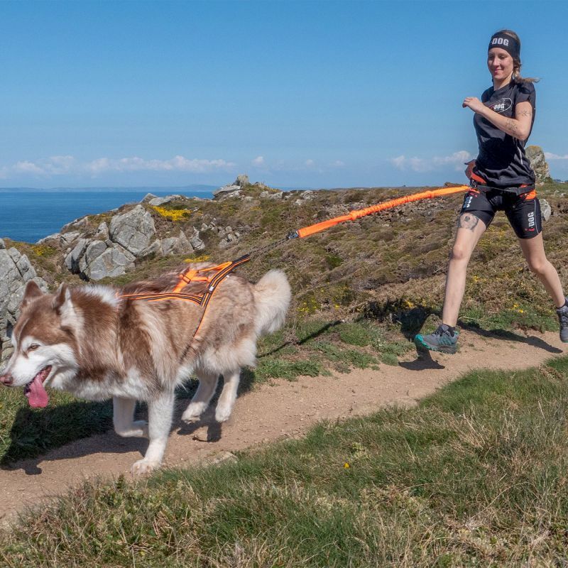 I-Dog X-Back One 2.0 - Hundegeschirr | Hardloop