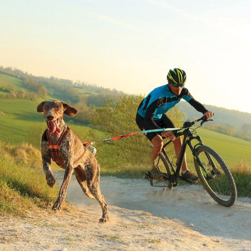 I-Dog X-Back One 2.0 - Arnês para cachorro | Hardloop