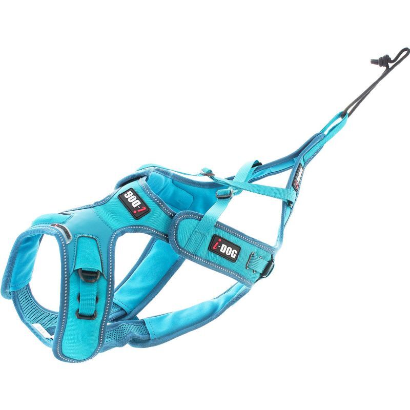 X-Back Phoenix ALM - Arnês para cachorro