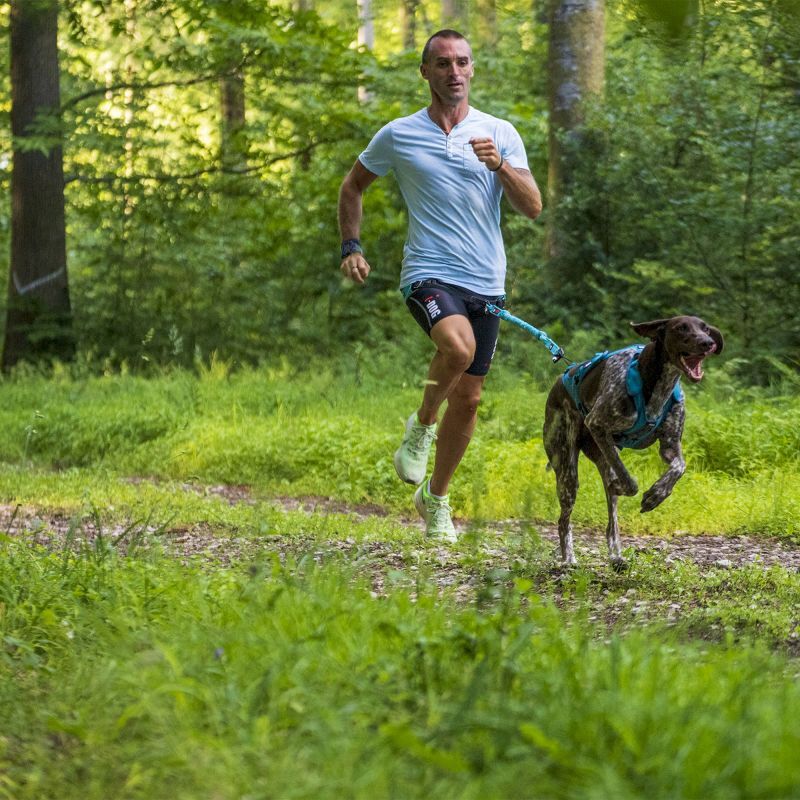 I-Dog X-Back Phoenix ALM - Pettorina per cani | Hardloop