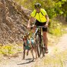 I-Dog X-Back Phoenix ALM - Arnês para cachorro | Hardloop