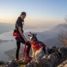 I-Dog Confort Trek - Smycz do canicrossu | Hardloop