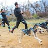 I-Dog Canyon ALM | Hardloop