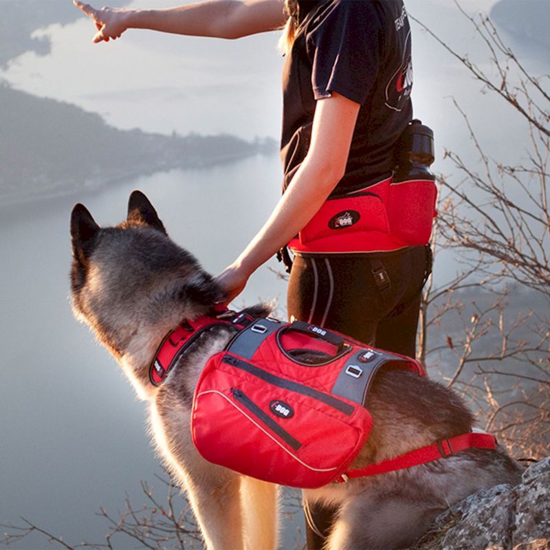 I-Dog Confort Trek - Harnais pour chien | Hardloop