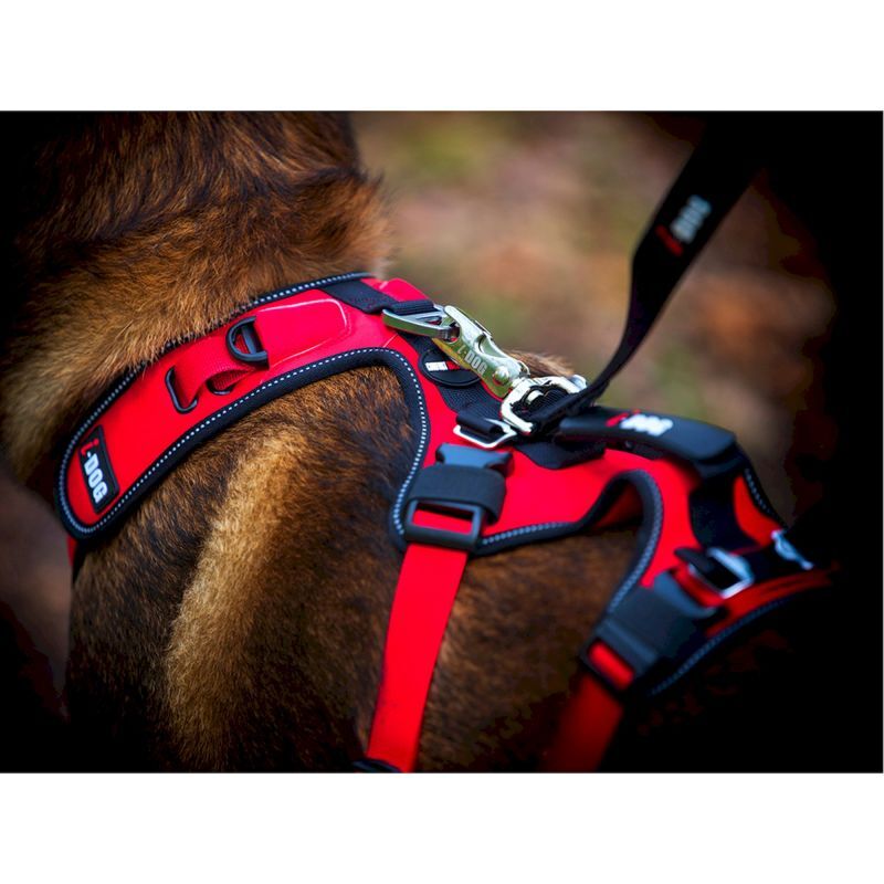 I-Dog Confort Trek - Arnés para perro | Hardloop