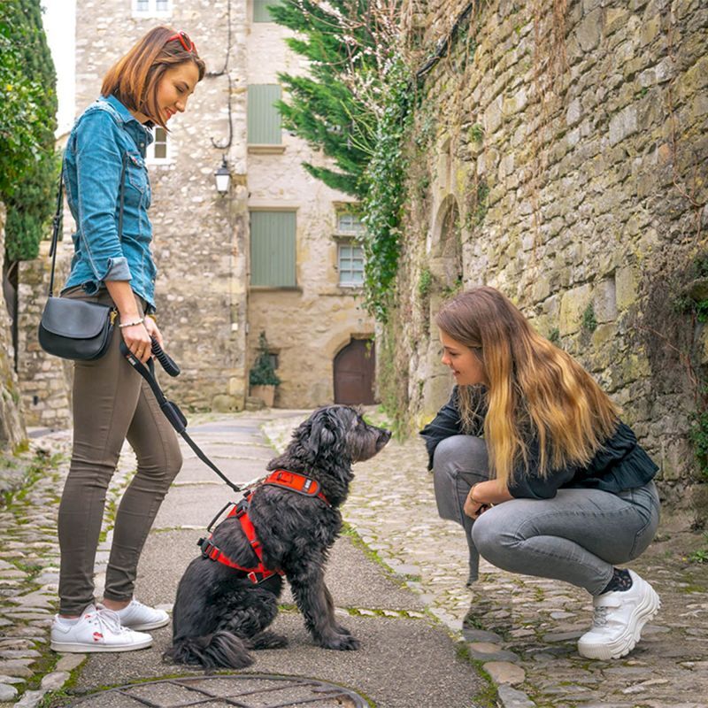 I-Dog Confort Trek - Hundegeschirr | Hardloop