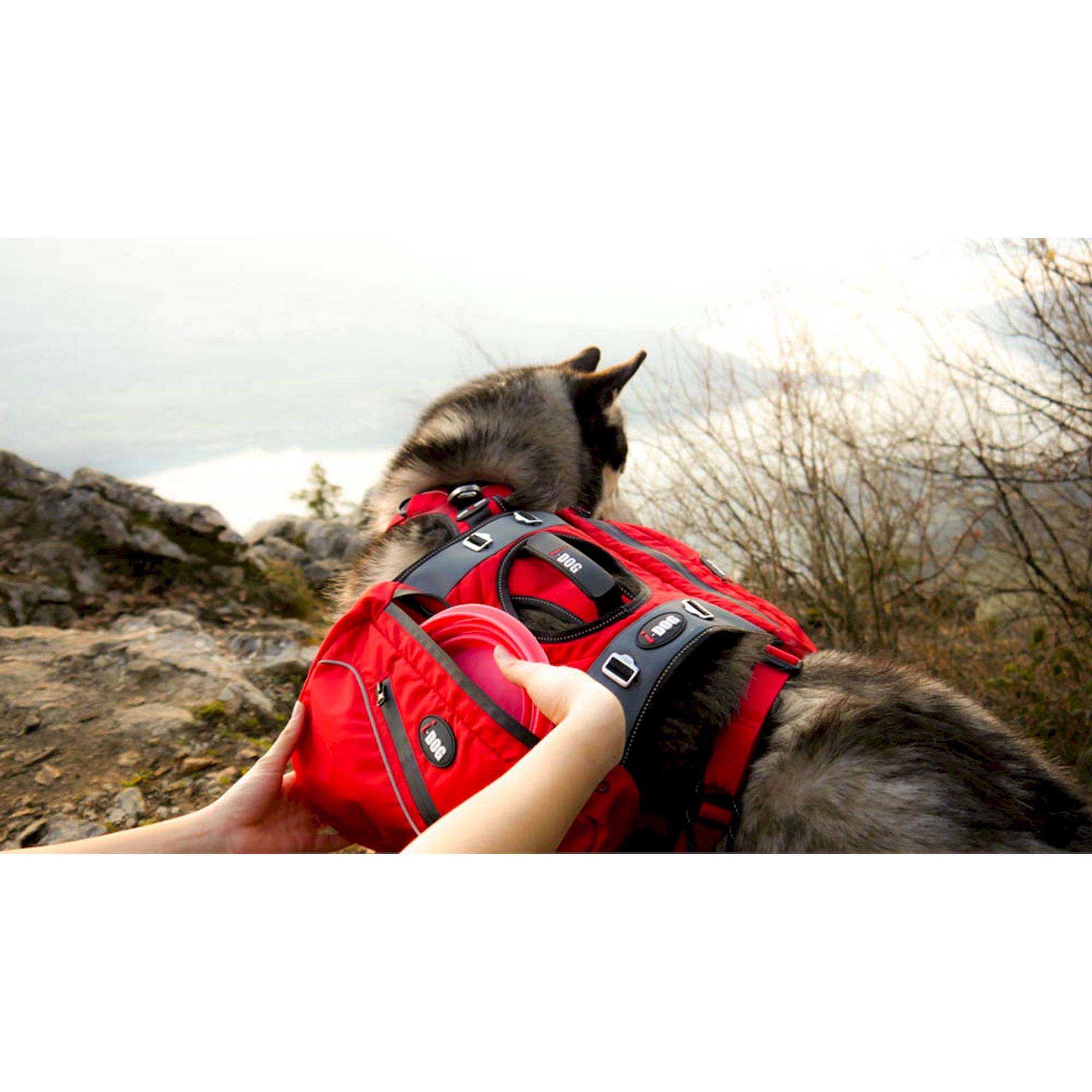 I-Dog Confort Trek Grand volume Sac à dos pour chien randonnée