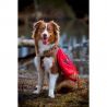 I-Dog Confort Trek Grand volume - Sac à dos pour chien randonnée | Hardloop