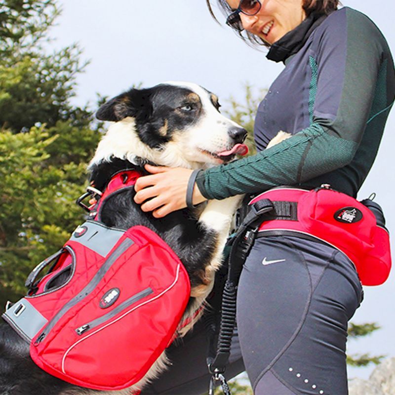 I-Dog Confort Trek Grand volume - Hunde Rucksack | Hardloop
