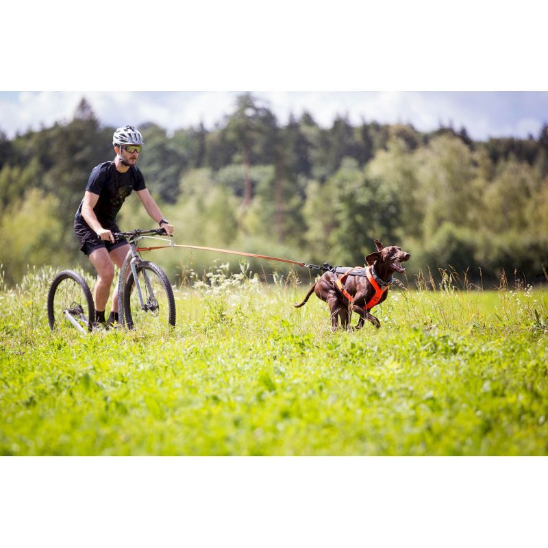 Non-stop dogwear Freemotion Harness 5.0 - Hundegeschirr | Hardloop