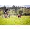 Non-stop dogwear Freemotion Harness 5.0 - Arnês para cachorro | Hardloop