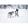 Non-stop dogwear Long Distance Booties x 4 - Botas para cachorro | Hardloop