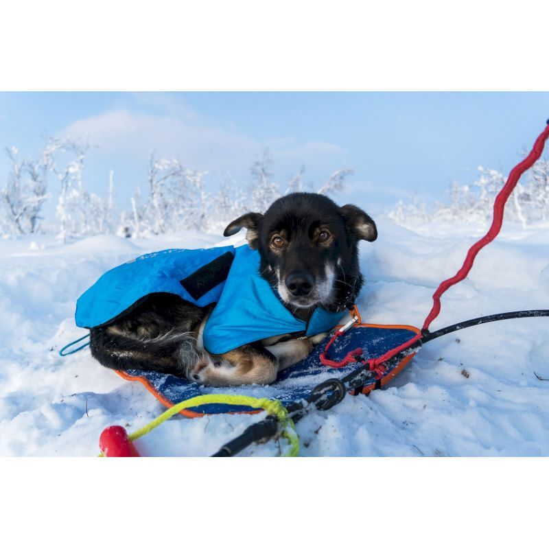 Non-stop dogwear Musher Sleeping Mat Dog mat Hardloop