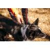 Non-stop dogwear Roam Collar - Coleira para cachorro | Hardloop
