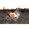 Non-stop dogwear Reflective Vest - Jaqueta para cachorro | Hardloop