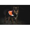 Non-stop dogwear Reflective Vest - Jaqueta para cachorro | Hardloop