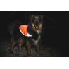 Non-stop dogwear Reflective Vest - Veste pour chien | Hardloop