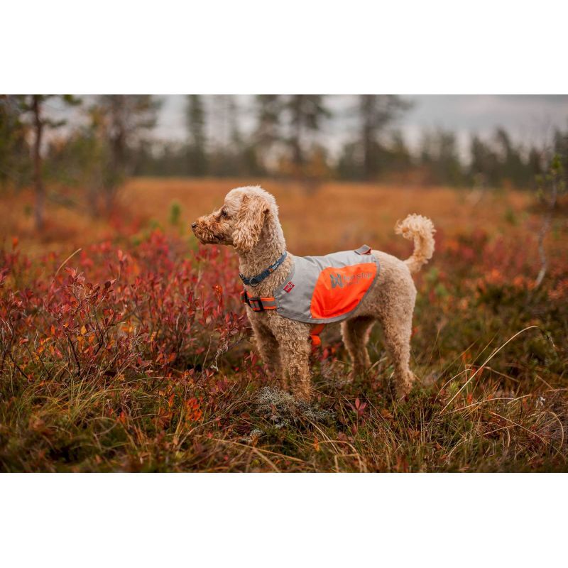 Non-stop dogwear Reflective Vest - Dog jacket | Hardloop