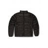 Ostrya Torpid Down Jacket - Down jacket - Men's