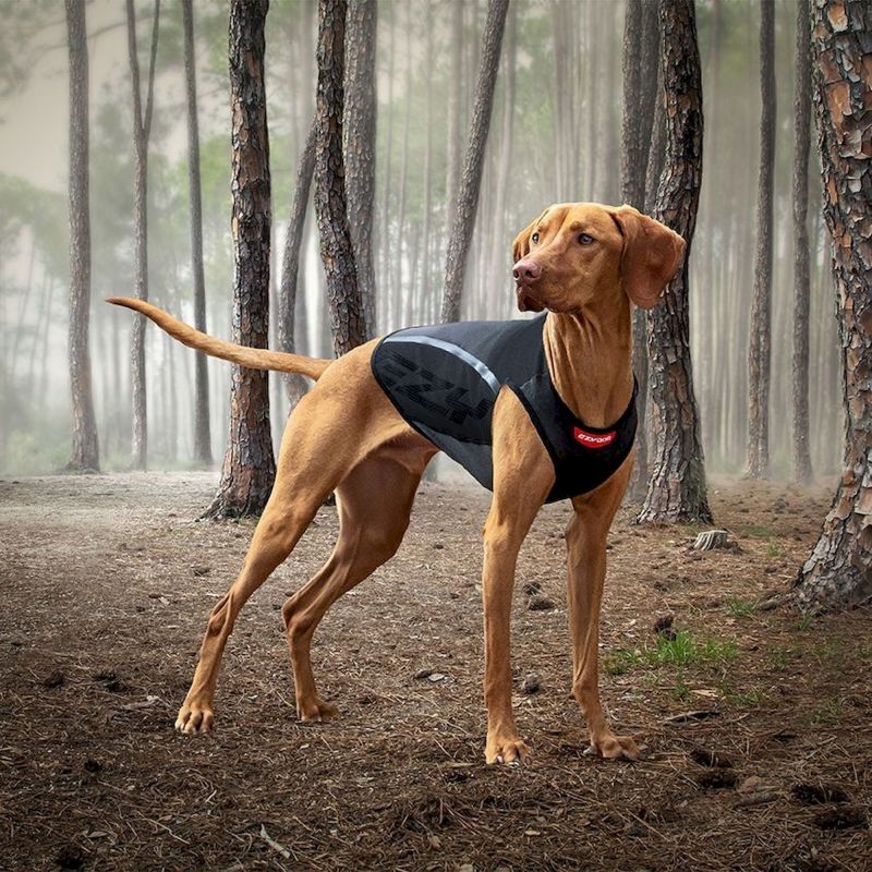 EzyDog Thermax Dog Vest - Hondenjas | Hardloop