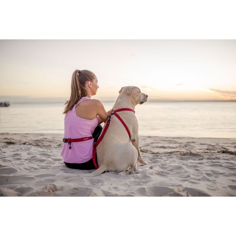 EzyDog Road Runner Leash - Hundkoppel | Hardloop