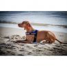 EzyDog Express Harness - Postroj pro psa | Hardloop