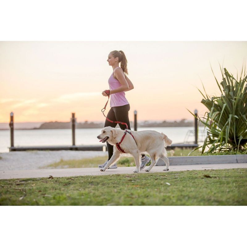 EzyDog Handy Leash - Smycz do canicrossu | Hardloop