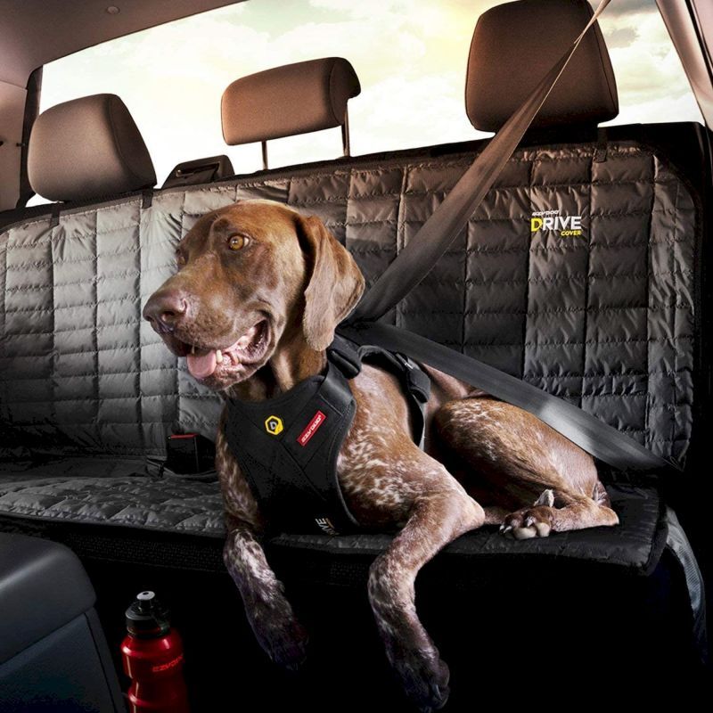 EzyDog Drive Dog Car Harness - Akcesoria dla psa | Hardloop