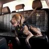 EzyDog Drive Dog Car Harness - Accessoire pour chien | Hardloop