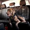 EzyDog Drive Dog Car Harness - Honden accessoires | Hardloop