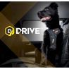 EzyDog Drive Dog Car Harness - Accessoire pour chien | Hardloop